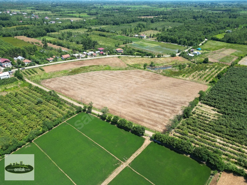 Terme Köybucağı'nda İki Yola Cephe 38.000 M² Satılık Tarla — fotoğraf 4