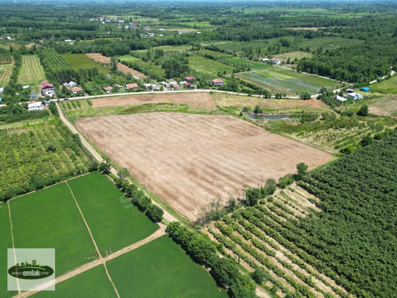 Terme Köybucağı'nda İki Yola Cephe 38.000 M² Satılık Tarla — fotoğraf 5