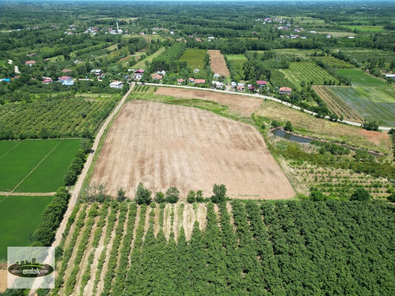 Terme Köybucağı'nda İki Yola Cephe 38.000 M² Satılık Tarla — fotoğraf 6