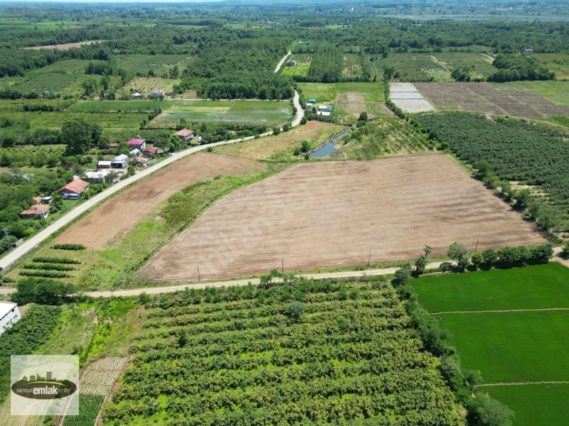 Terme Köybucağı'nda İki Yola Cephe 38.000 M² Satılık Tarla — fotoğraf 8