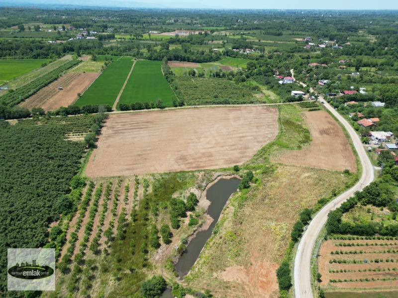Terme Köybucağı'nda İki Yola Cephe 38.000 M² Satılık Tarla — fotoğraf 9
