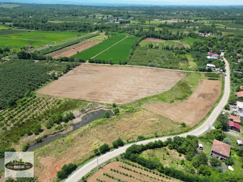 Terme Köybucağı'nda İki Yola Cephe 38.000 M² Satılık Tarla — fotoğraf 10