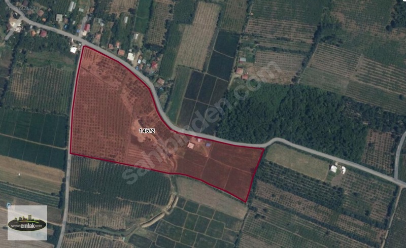 Terme Köybucağı'nda İki Yola Cephe 38.000 M² Satılık Tarla — fotoğraf 14