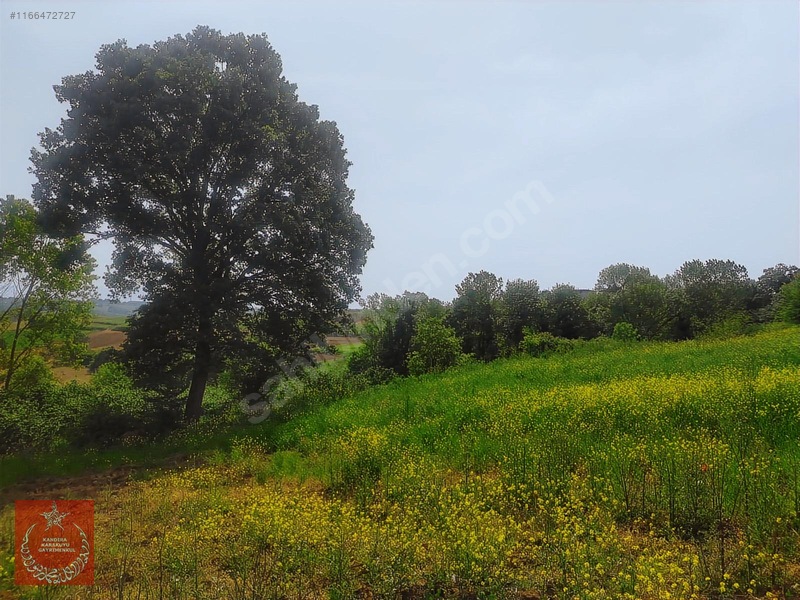 Adapazarı Büyükhatapli Da Yollu Arazi — fotoğraf 11