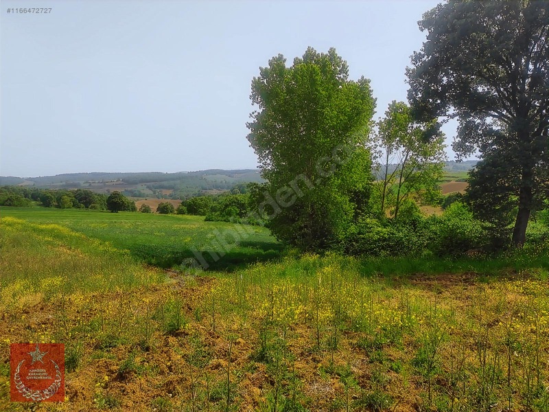 Adapazarı Büyükhatapli Da Yollu Arazi — fotoğraf 12