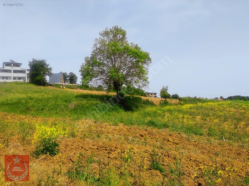 Adapazarı Büyükhatapli Da Yollu Arazi — fotoğraf 13