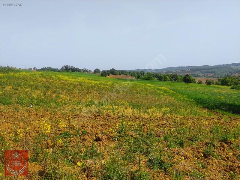 Adapazarı Büyükhatapli Da Yollu Arazi — fotoğraf 14