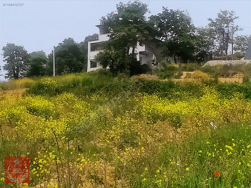 Adapazarı Büyükhatapli Da Yollu Arazi — fotoğraf 18