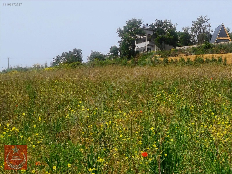 Adapazarı Büyükhatapli Da Yollu Arazi — fotoğraf 20