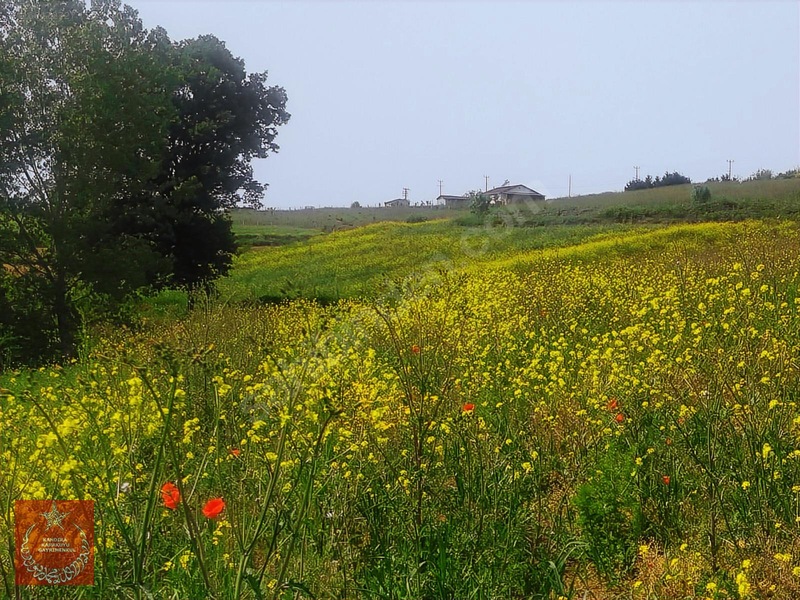 Adapazarı Büyükhatapli Da Yollu Arazi — fotoğraf 21
