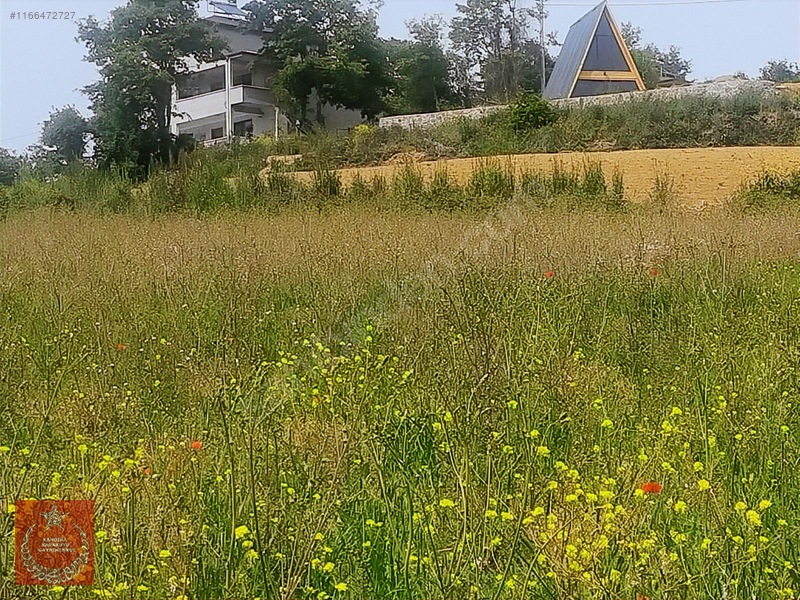 Adapazarı Büyükhatapli Da Yollu Arazi — fotoğraf 22