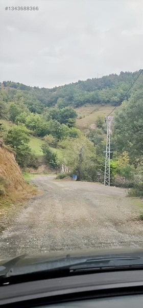 Samsun Merkeze 15 Dakika Mesafede Satılık Tarlalar — fotoğraf 4