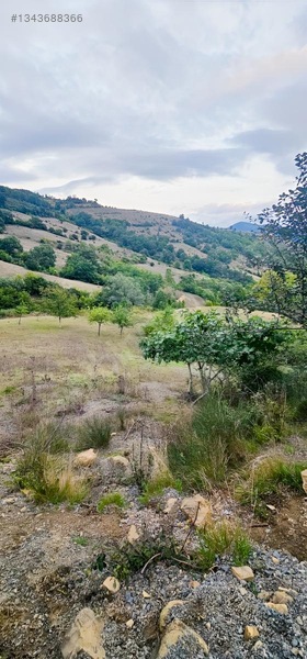 Samsun Merkeze 15 Dakika Mesafede Satılık Tarlalar — fotoğraf 6