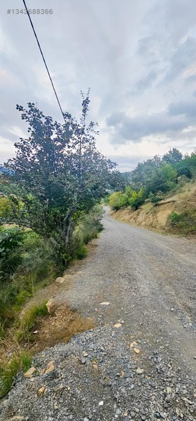 Samsun Merkeze 15 Dakika Mesafede Satılık Tarlalar — fotoğraf 8