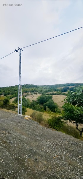 Samsun Merkeze 15 Dakika Mesafede Satılık Tarlalar — fotoğraf 9