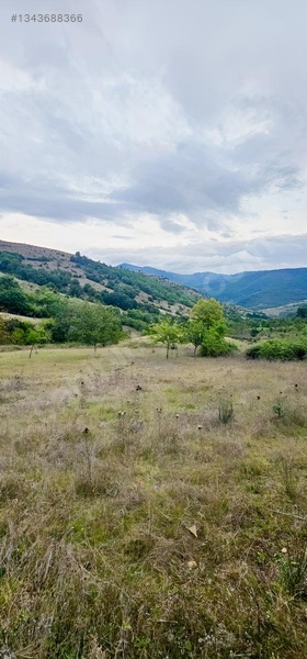 Samsun Merkeze 15 Dakika Mesafede Satılık Tarlalar — fotoğraf 13