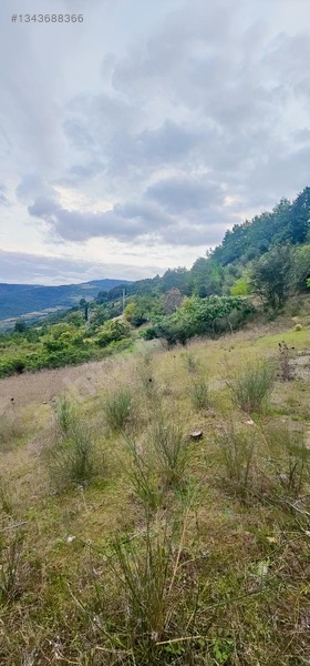 Samsun Merkeze 15 Dakika Mesafede Satılık Tarlalar — fotoğraf 14