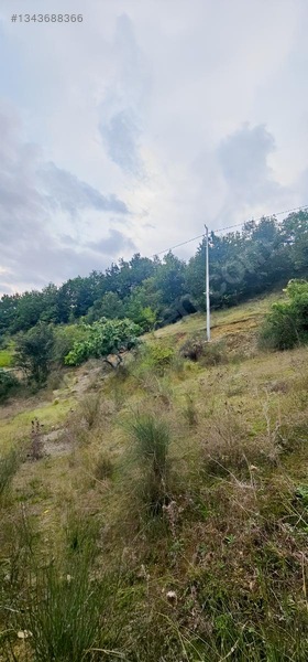 Samsun Merkeze 15 Dakika Mesafede Satılık Tarlalar — fotoğraf 15