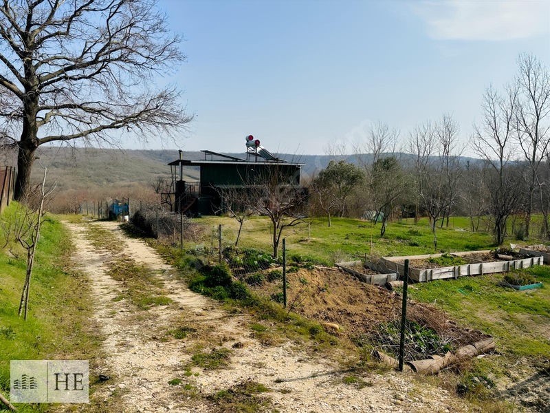 Satılık Meyve Bahçesi — fotoğraf 7