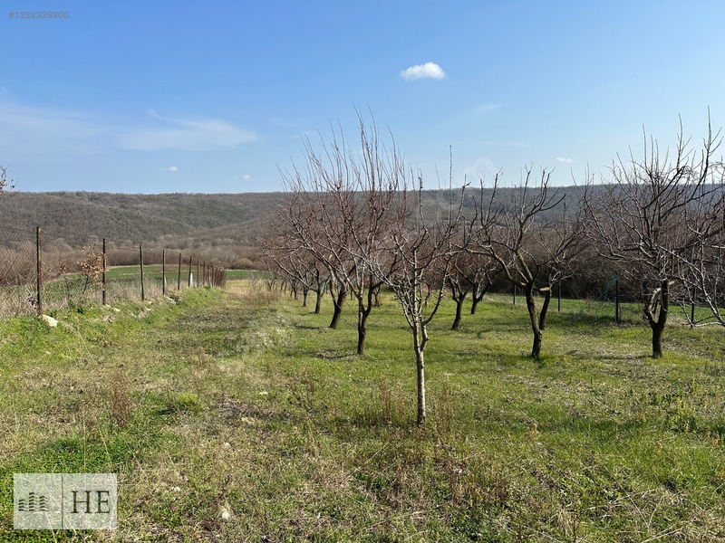 Satılık Meyve Bahçesi — fotoğraf 10