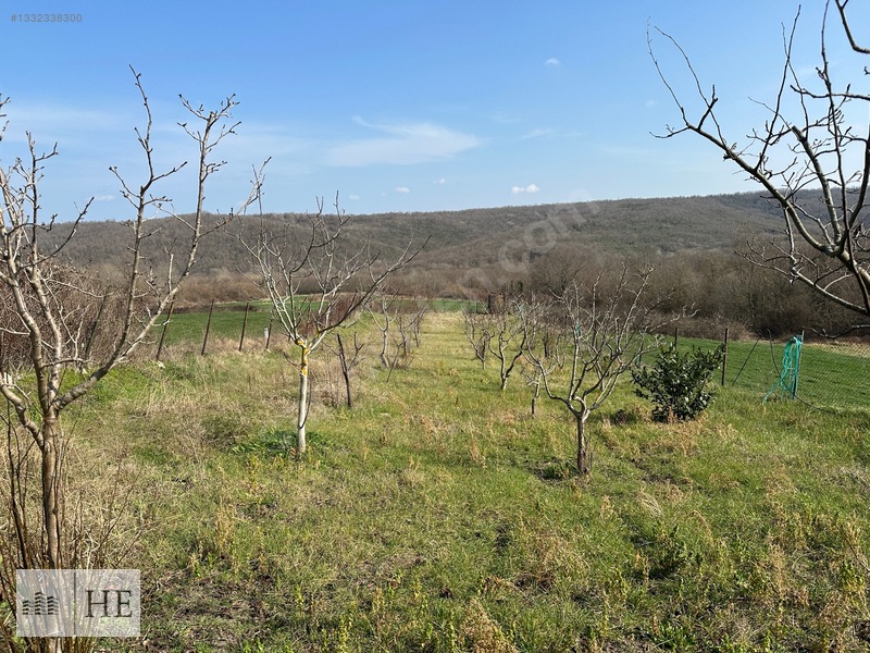 Satılık Meyve Bahçesi — fotoğraf 11