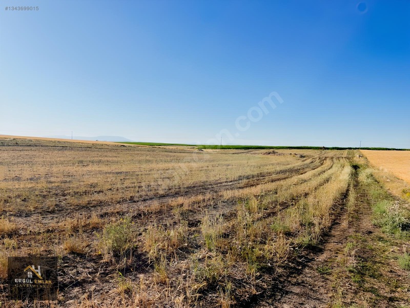 Çumra'nın İçeri Çumra Mah 16718 M² Müstakil Tapulu Satılık Tarla — fotoğraf 2