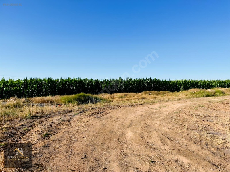 Çumra'nın İçeri Çumra Mah 16718 M² Müstakil Tapulu Satılık Tarla — fotoğraf 13