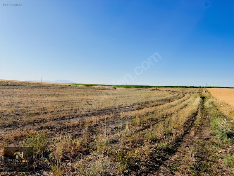 Çumra'nın İçeri Çumra Mah 16718 M² Müstakil Tapulu Satılık Tarla — fotoğraf 33