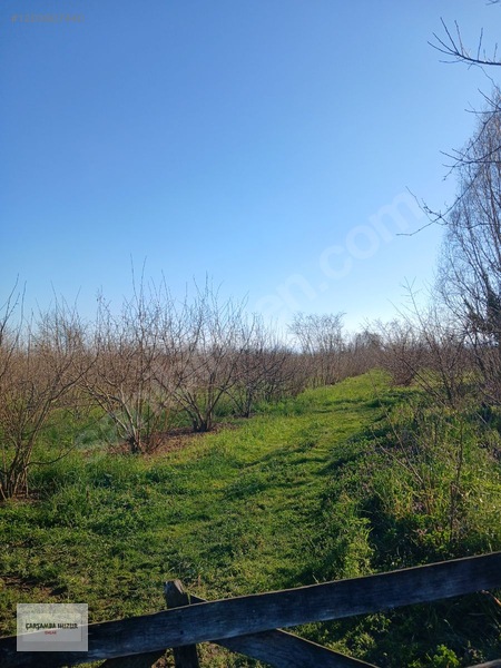 Huzur Emlak'tan Satılık Tarla. — fotoğraf 2