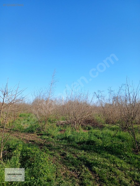 Huzur Emlak'tan Satılık Tarla. — fotoğraf 3