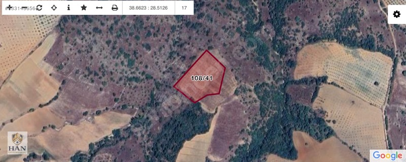 Fırsat 350 Adet Verimli Zeytin Ağacı Olan Satılık Tarla — fotoğraf 3