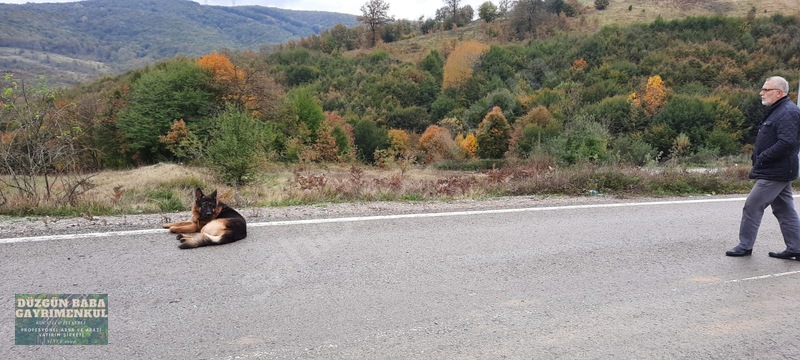 Düzgün Babadan Kandıra Otoban Yanı Asfalt Cepheli Arsa — fotoğraf 3