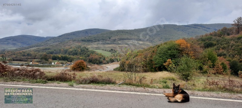 Düzgün Babadan Kandıra Otoban Yanı Asfalt Cepheli Arsa — fotoğraf 4