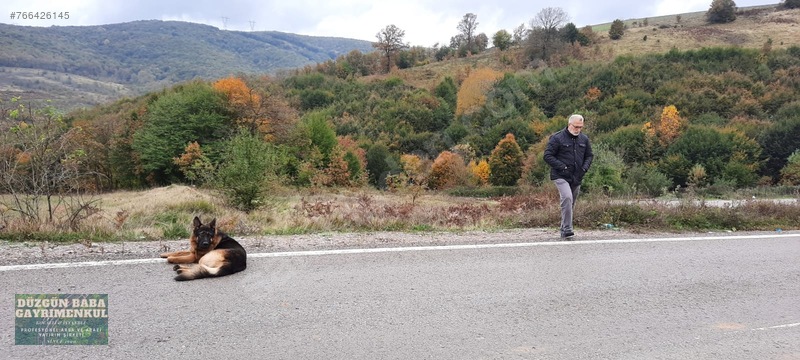 Düzgün Babadan Kandıra Otoban Yanı Asfalt Cepheli Arsa — fotoğraf 7