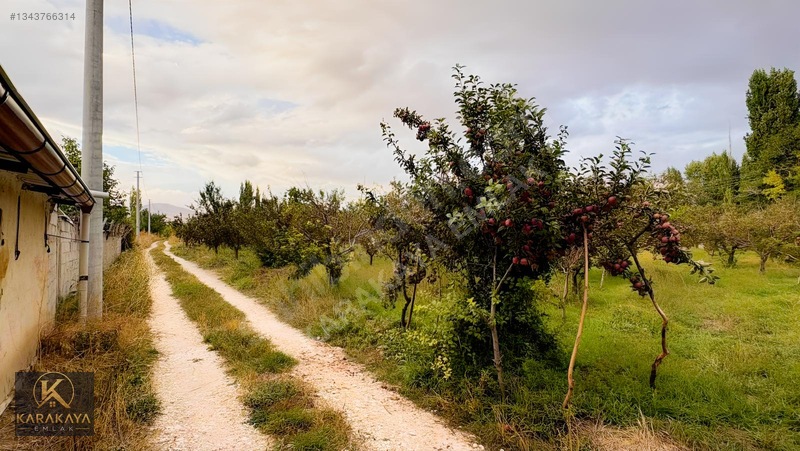 Karakaya Emlak'tan Sahibinden Satılık Bahçe — fotoğraf 12