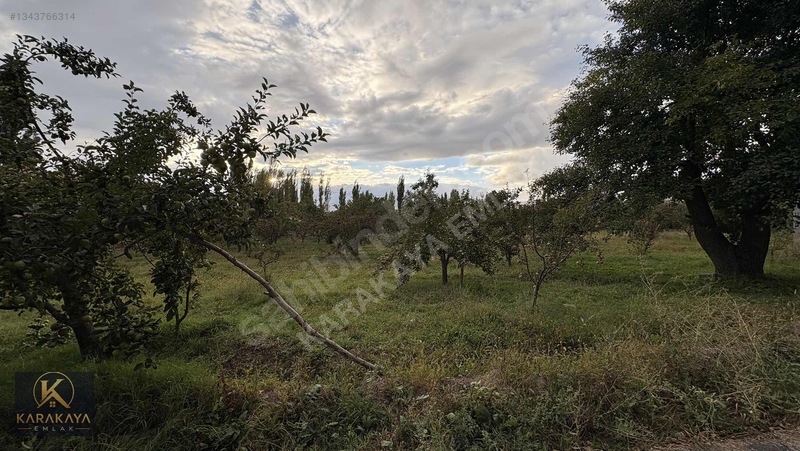 Karakaya Emlak'tan Sahibinden Satılık Bahçe — fotoğraf 16