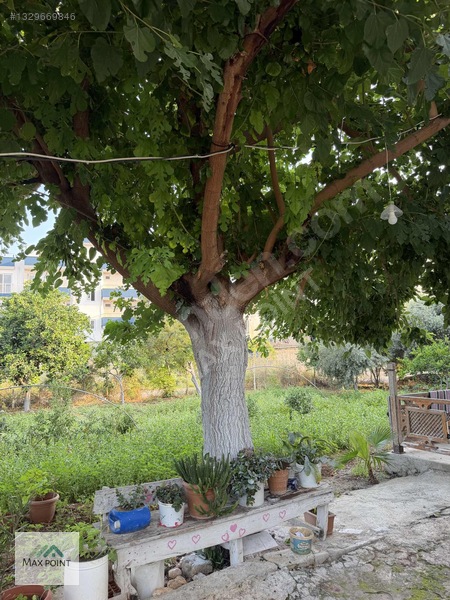 Karaduvar Sahilde 680m² Bahçeli 3+1 Dubleks — fotoğraf 3