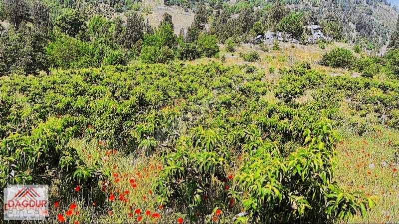 Dağdur Emlak'dan Yatırımlık Harikası Kaçırılmaz Fiyata — fotoğraf 2