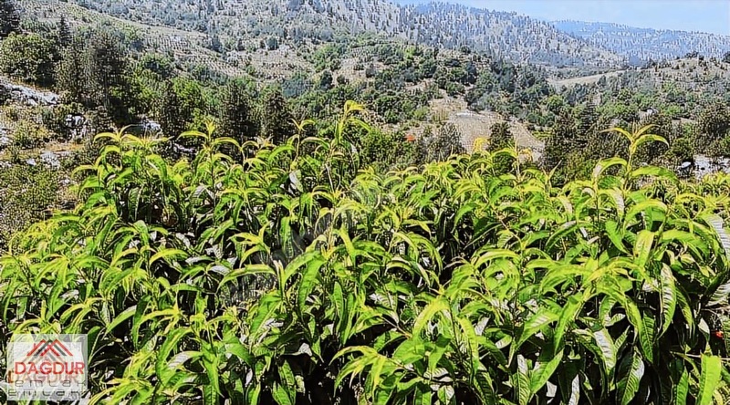 Dağdur Emlak'dan Yatırımlık Harikası Kaçırılmaz Fiyata — fotoğraf 3
