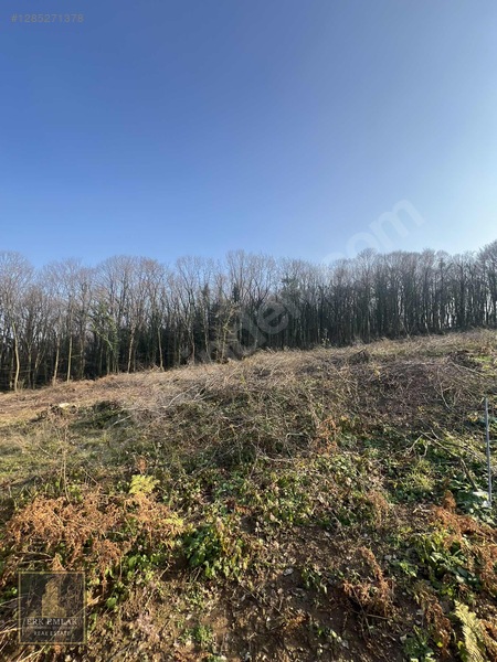 Kartepe Derbent'de Doğa İçinde 1.000 M2 Satılık Arsa — fotoğraf 9