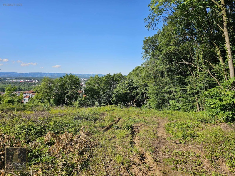 Kartepe Derbent'de Doğa İçinde 1.000 M2 Satılık Arsa — fotoğraf 11