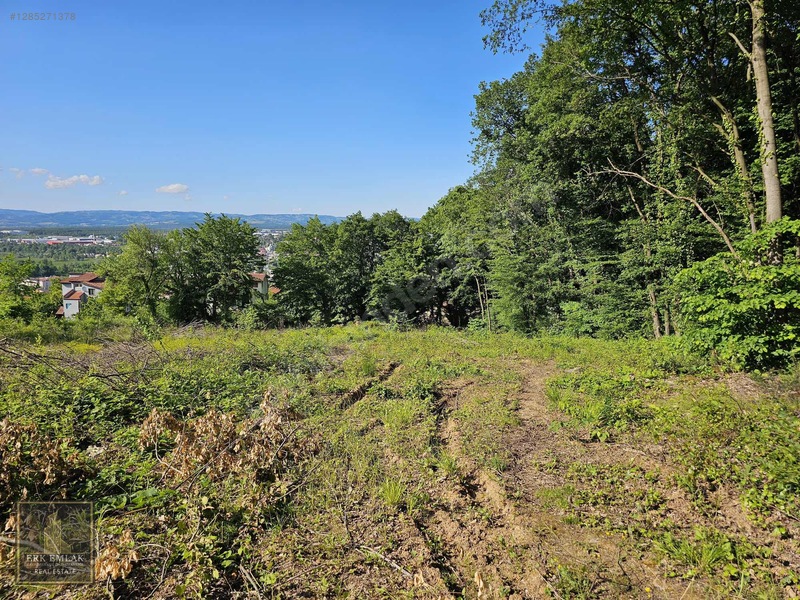 Kartepe Derbent'de Doğa İçinde 1.000 M2 Satılık Arsa — fotoğraf 13