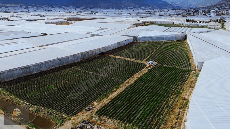 Anamur Fatih Mah. Satılık 14 Dönüm Tarla