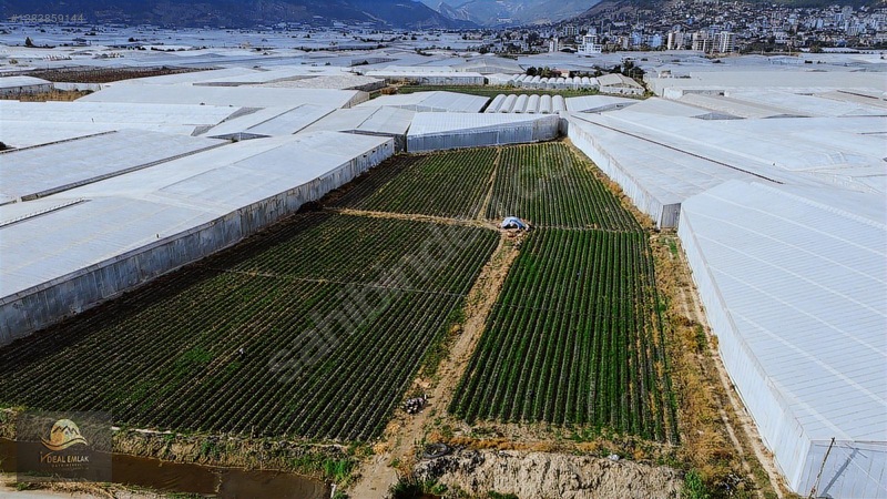 Anamur Fatih Mah. Satılık 14 Dönüm Tarla — fotoğraf 3