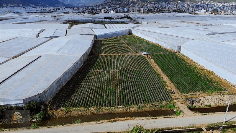 Anamur Fatih Mah. Satılık 14 Dönüm Tarla — fotoğraf 4