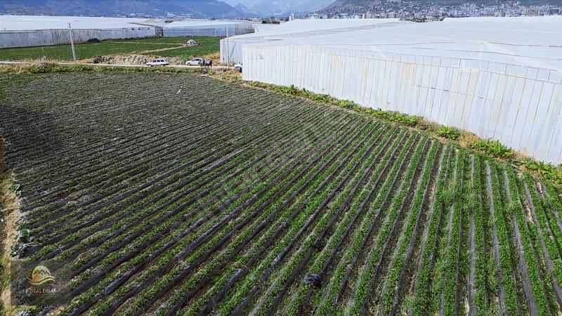 Anamur Fatih Mah. Satılık 14 Dönüm Tarla — fotoğraf 13