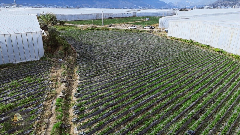 Anamur Fatih Mah. Satılık 14 Dönüm Tarla — fotoğraf 14