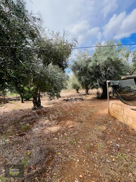 Kozan Divan Emlak'tan Aslanpaşa'da 4 Kata İmarlı Geniş Arsa — fotoğraf 12