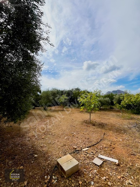 Kozan Divan Emlak'tan Aslanpaşa'da 4 Kata İmarlı Geniş Arsa — fotoğraf 16