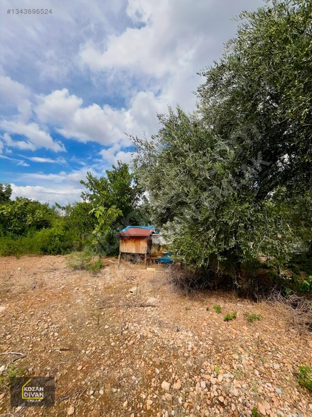 Kozan Divan Emlak'tan Aslanpaşa'da 4 Kata İmarlı Geniş Arsa — fotoğraf 17
